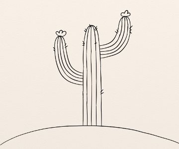 Cactus etapa 5