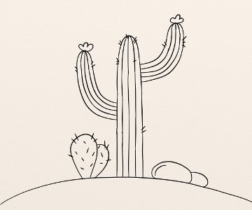 Cactus etapa 6