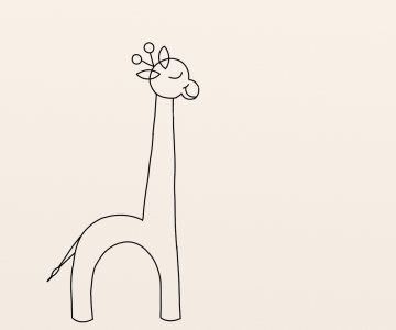 Girafa etapa 6