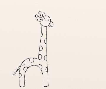 Girafa etapa 8