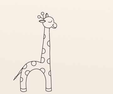 Girafa etapa 9