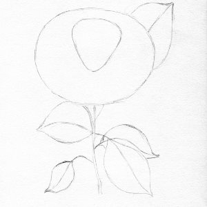 Trandafir in creion etapa 2