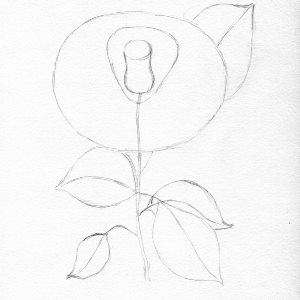 Trandafir in creion etapa 3