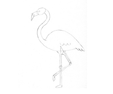 Flamingo etapa 5